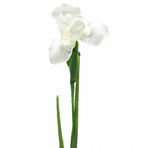 Floristik24 Artificial Iris White 78cm