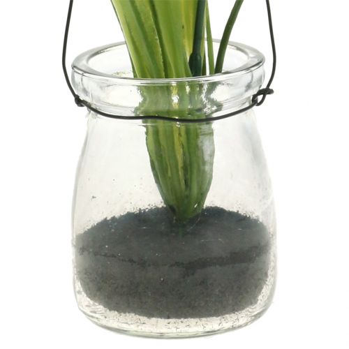 Product Iris lilac in glass for hanging H21,5cm