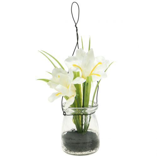 Floristik24 Iris White in glass for hanging H21,5cm