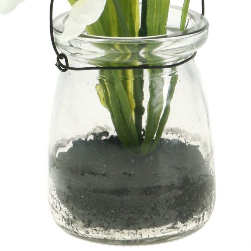 Floristik24 Iris White in glass for hanging H21,5cm