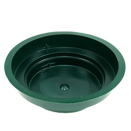 Floristik24 Junior bowl 12cm green 25 pcs