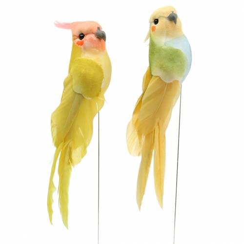 Floristik24 Decorative cockatoo with metal wire green yellow H13cm 4pcs