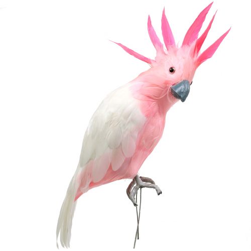 Floristik24 Deco Cockatoo Pink 32cm