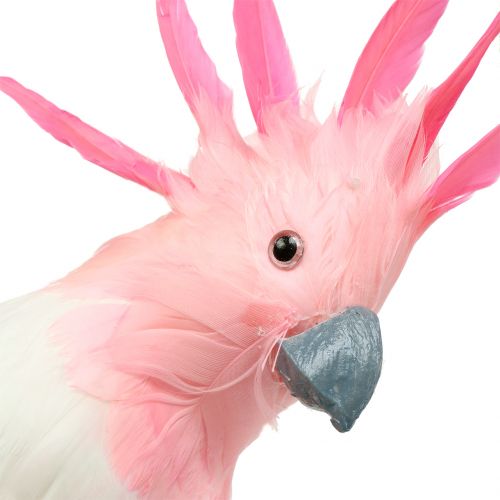 Floristik24 Deco Cockatoo Pink 32cm