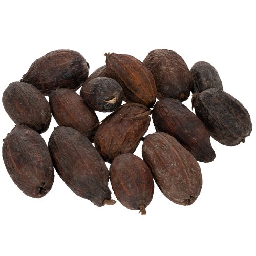 Product Cocoa fruit, natural, 10-18cm, 15 pieces