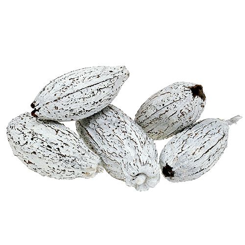 Floristik24 Cocoa fruits whitewashed 15pcs