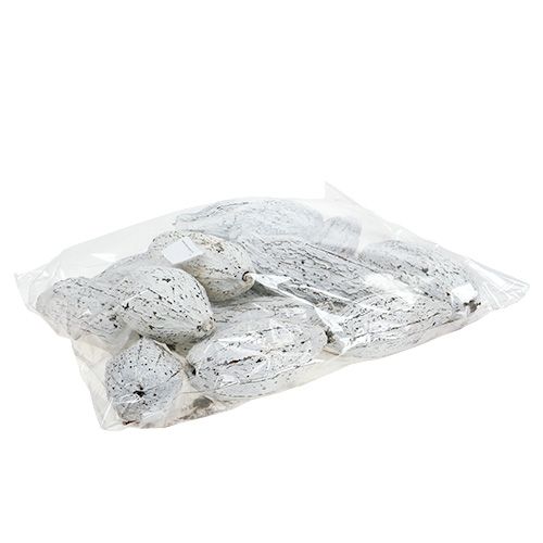 Product Cocoa pods whitewashed 15 pcs