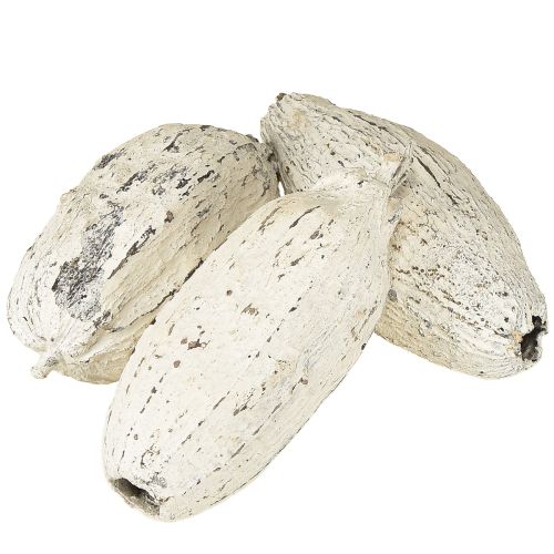 Floristik24 Cocoa pods whitewashed 15 pcs