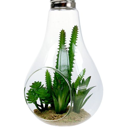 Product Cactus in the glass for hanging 21cm