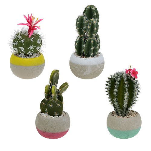 Floristik24 Cacti in a pot mix H13cm 4pcs