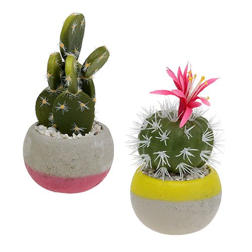 Floristik24 Cacti in a pot mix H13cm 4pcs