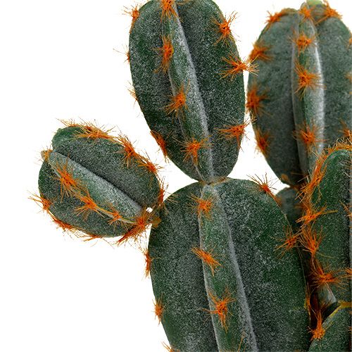 Floristik24 Cacti in a pot artificial 20cm