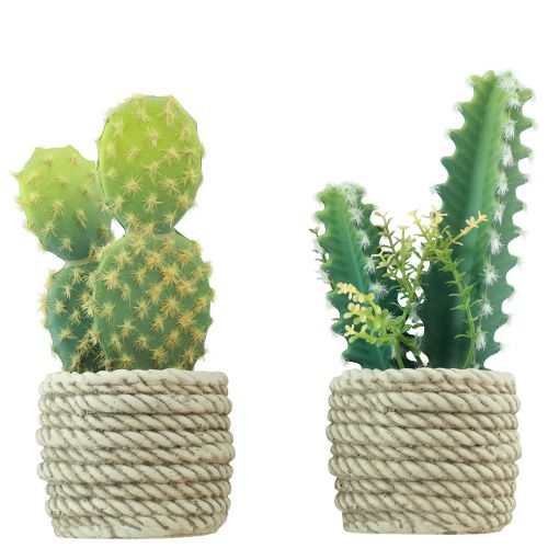 Floristik24 Cactus in pot artificial cactus assorted 28cm 2pcs