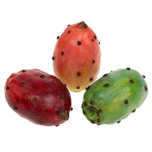 Floristik24 Prickly pear artificially assorted colors 8.5cm 3pcs