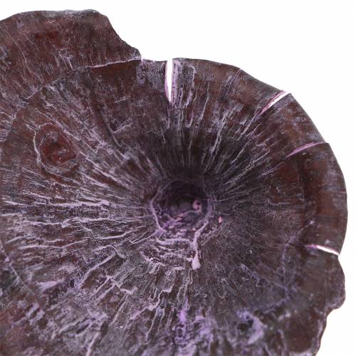 Product Kalix Mushroom Purple, White Washed 100 Pcs