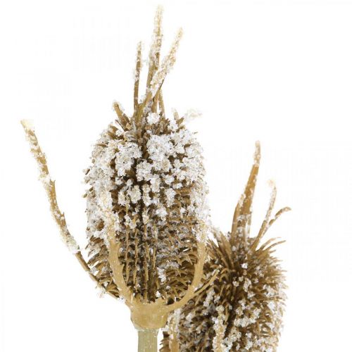 Product Thistle branch artificially iced brown card thistle with 3 heads 90cm