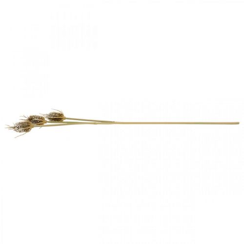 Product Thistle branch artificially iced brown card thistle with 3 heads 90cm