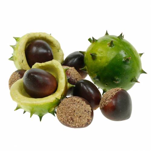 Floristik24 Deco chestnuts in the net green 24pcs