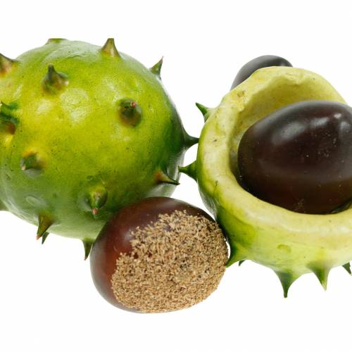 Floristik24 Deco chestnuts in the net green 24pcs