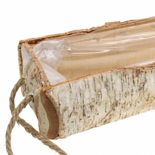 Floristik24 Birch box with rope handles 47x16cm H10cm