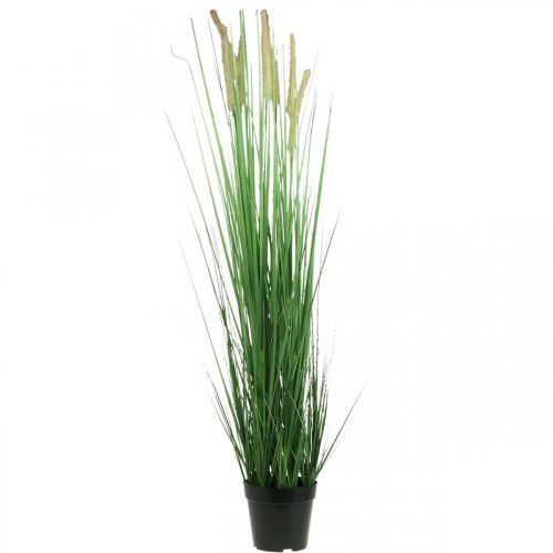 Floristik24 Artificial sedge in a pot with spikes Carex artificial plant 98cm