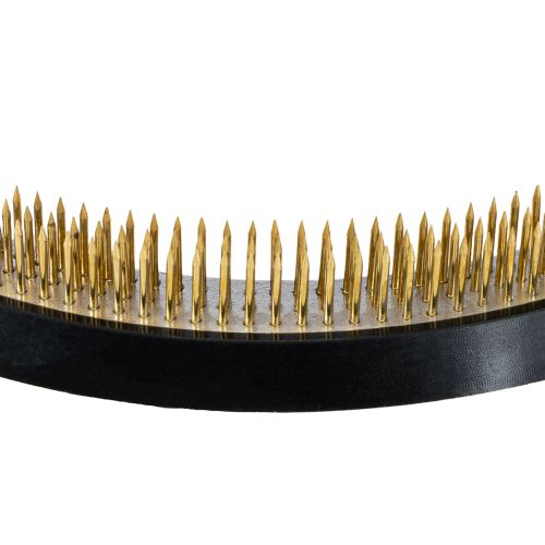 Floristik24 Kenzan ring with brass pins, round, Ø200mm