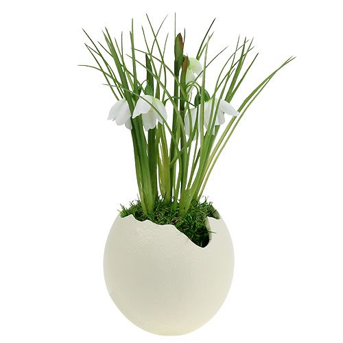 Floristik24 Ceramic egg open cream H12cm 2pcs
