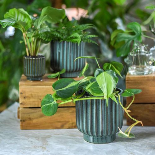 Floristik24 Ceramic plant pot, flower decoration, wavy planter green, brown Ø15.5cm H16.5cm