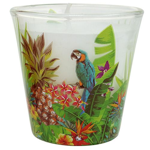 Floristik24 Candle in glass tropical motif Ø6.5cm H6.5cm 2pcs