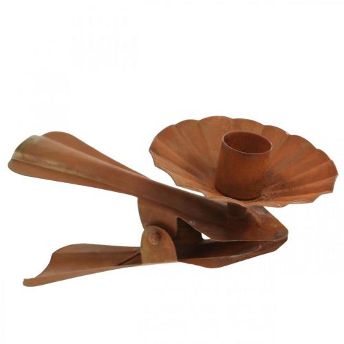 Floristik24 Candle holder for clamping, Advent, candle decoration made of metal patina Ø8.5cm L16cm