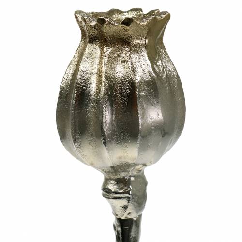 Floristik24 Candlestick poppy flower champagne H49cm