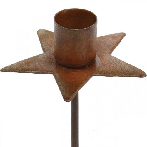 Floristik24 Candle decoration star, tree candle holder for sticking, Christmas decoration made of metal patina Ø5cm