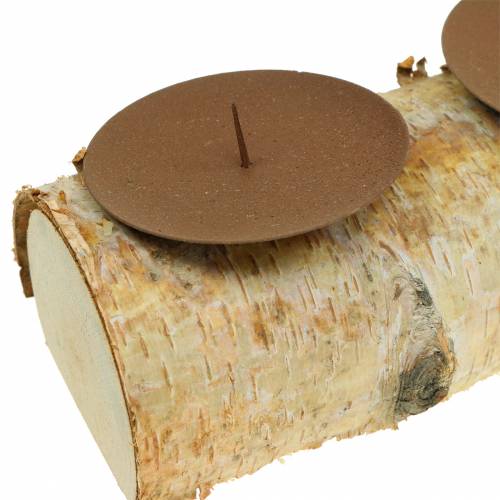 Floristik24 Candlestick with 4 thorns birch 40cm x 8cm H9cm