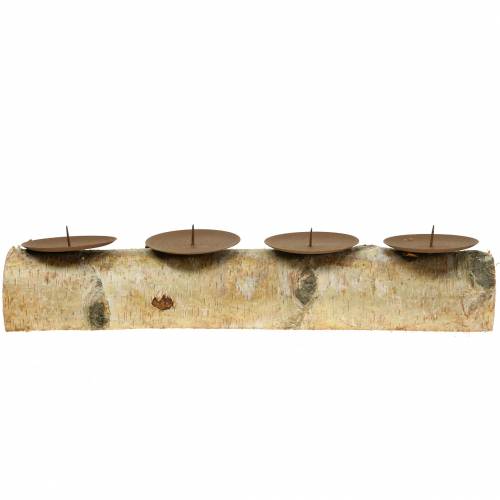 Floristik24 Candlestick with 4 thorns birch 40cm x 8cm H9cm