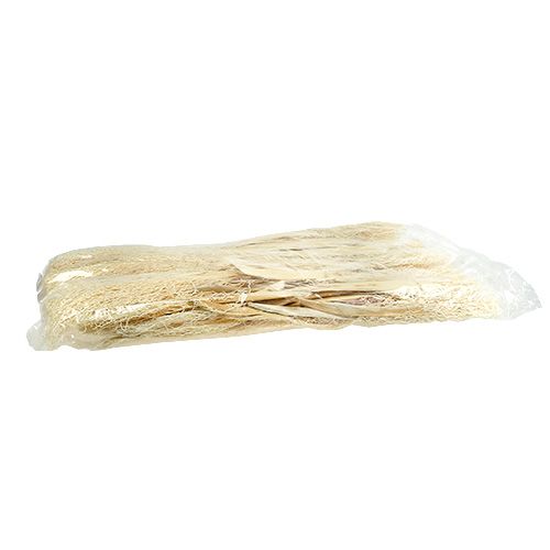 Floristik24 Khejur Date bleached 50 pcs.