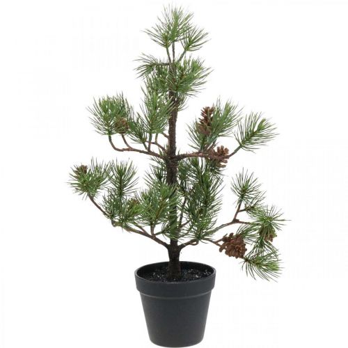 Floristik24 Artificial pine in a pot Christmas tree with cones 52cm