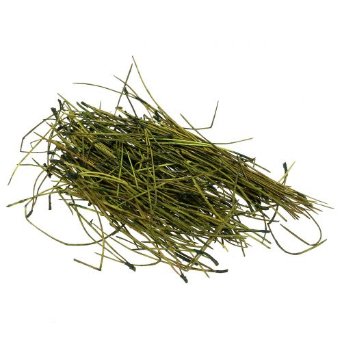 Floristik24 Pine needles green 400g