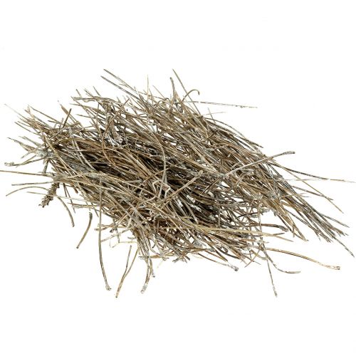 Floristik24 Pine needles washed white 300g