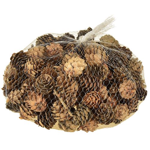 Product Pine cones natural small cones decoration in net 2.5-3.5cm 300g
