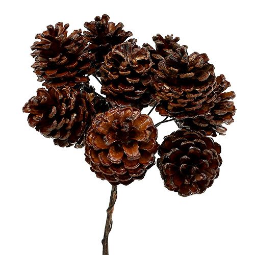 Pine cones waxed wired 100 pcs