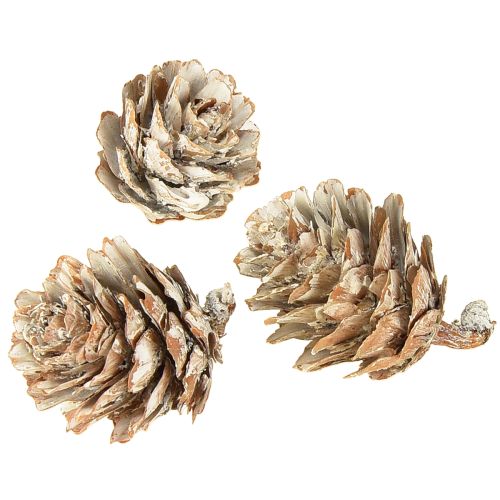 Product Whitened pine cones, small cones decoration in a net, 2.5-3.5 cm, 500 g