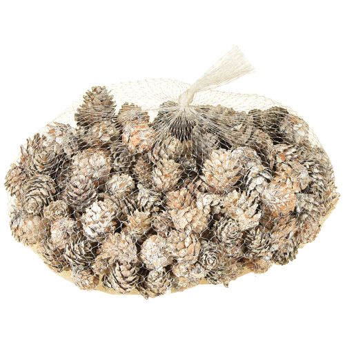 Product Whitened pine cones, small cones decoration in a net, 2.5-3.5 cm, 500 g