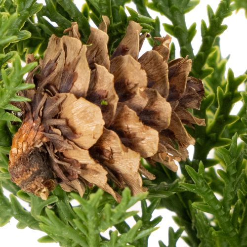 Artificial Pine Branches with Pinecones, 28cm, Set of 6 | Floristik24.co.uk
