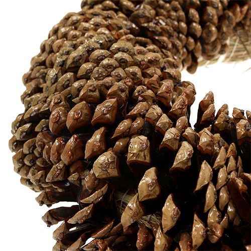 Floristik24 Pine cone wreath round flat Ø30cm