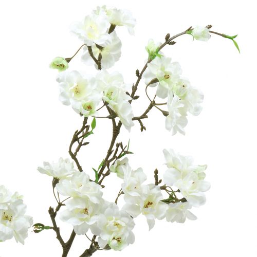 Floristik24 Cherry blossom branch white 105cm