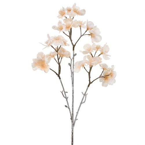 Floristik24 Cherry Blossom Branch Geeist Cream 51cm