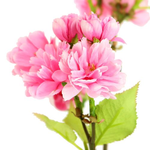 Floristik24 Cherry blossom branch pink 100cm