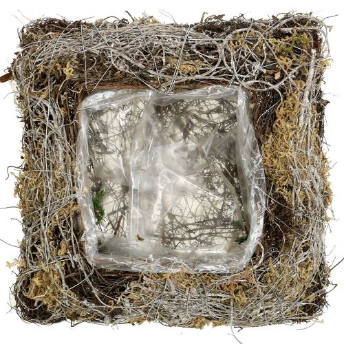 Floristik24 Cushion moss, vine 25cm x25cm