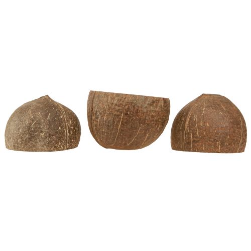 Product Coconut Shell Natural Decoration Coconut Shell Halved 10cm 6 Pcs
