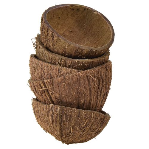 Floristik24 Coconut Bowl Decoration Natural Half Coconuts Ø7-9cm 5pcs